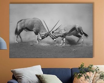 Fighting Antelopes Canvas Print: Black and White Wildlife Art