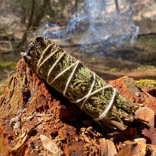 Cedar Smudge Stick - 4” - Sacred Medicine Incense