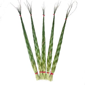 Premium Sweetgrass Braid - Set of 5 - Fragrant, Thick, Authentic, Organically Grown, Sustainably Harvested, Montana Grown Sweet Grass