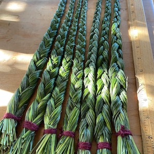 Sweetgrass Braid - Recent Harvest Sweet Grass Incense - Authentic, Organically Grown, Sustainably Harvested, Montana Prairie Sweetgrass