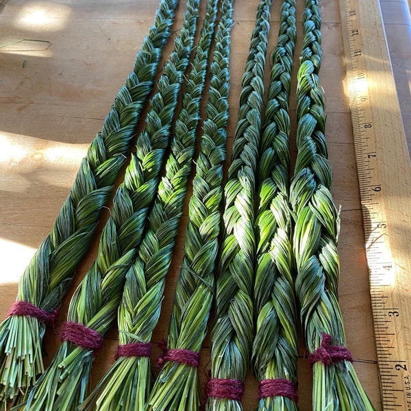 Sweetgrass Braid - Recent Harvest Sweet Grass Incense - Authentic, Organically Grown, Sustainably Harvested, Montana Prairie Sweetgrass