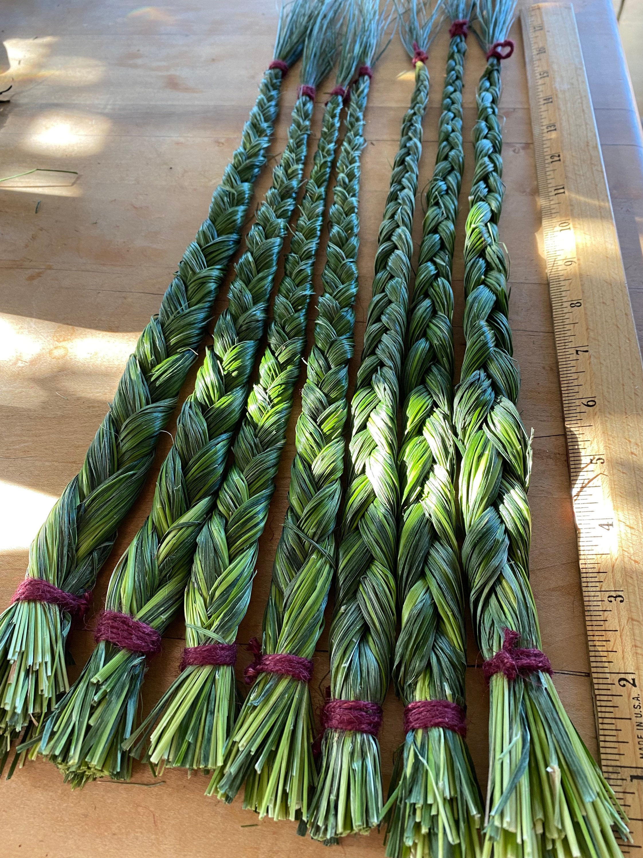 Fresh Sweetgrass Braid Recent Harvest Sweetgrass Incense Etsy Australia