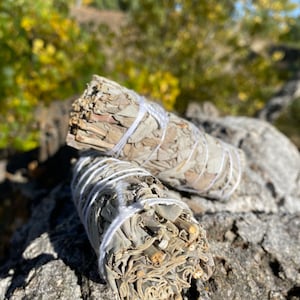 White Sage Smudge - 4”