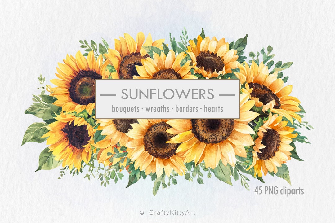 Sunflower Clipart. Watercolor Sunflower PNG Bundle. Digital Sublimation ...