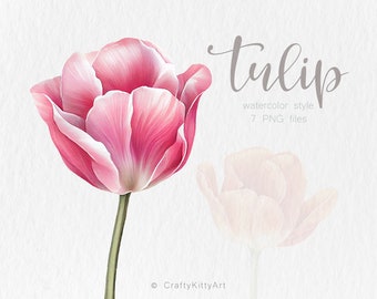 Tulip clipart. Watercolor clip art bundle. Tulip 7 PNG files. Digital PNG sublimations. Spring / Birthday / Mother's Day / Flowers / Floral