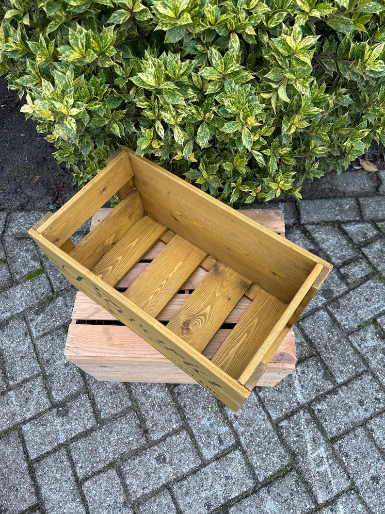 May include: A rectangular wooden crate with a light brown finish, featuring a slatted base and open sides. The crate is placed on top of a smaller, unfinished wooden pallet. Green and yellow foliage is in the background.