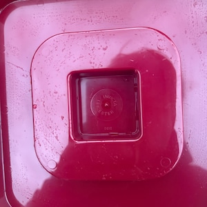 May include: A close-up of a red plastic container with a square, recessed center. The center has the text "INVICTA" and "LESTER" in a circular pattern. The container has a glossy finish and is slightly wet.