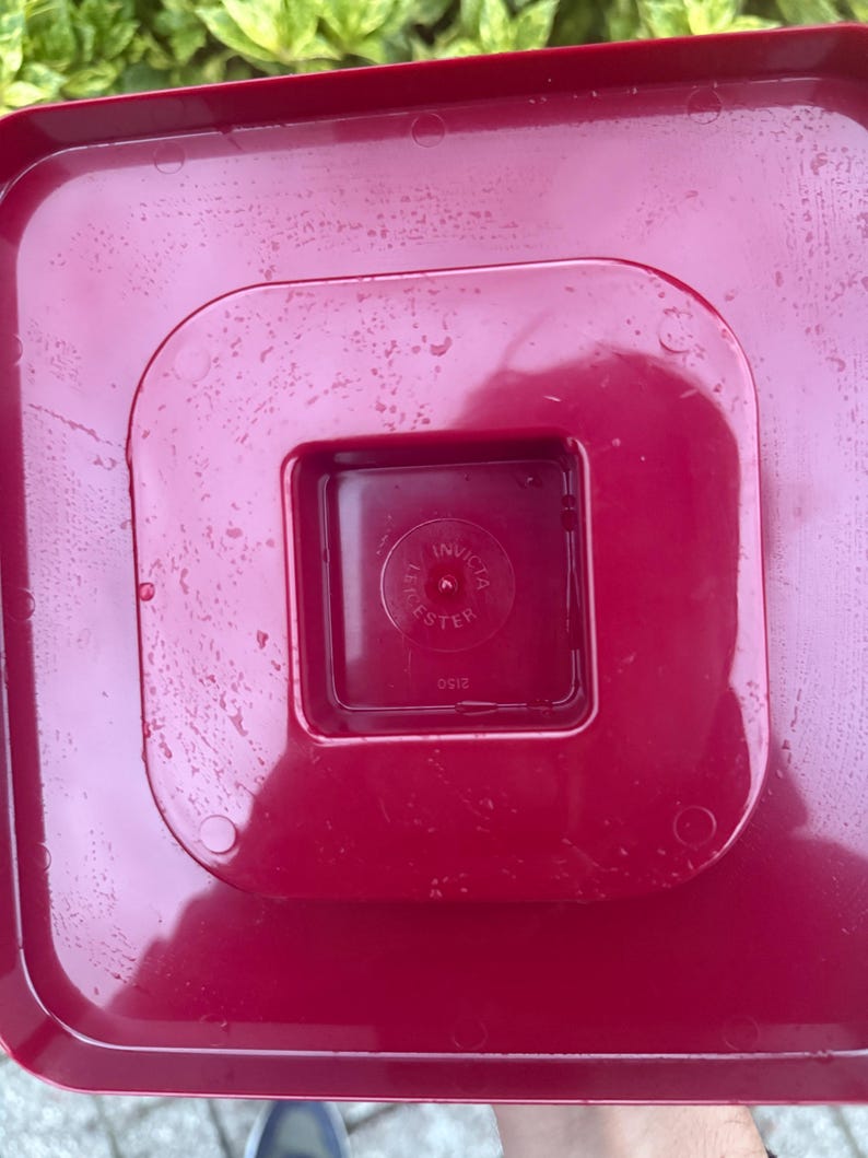 May include: A close-up of a red plastic container with a square, recessed center. The center has the text "INVICTA" and "LESTER" in a circular pattern. The container has a glossy finish and is slightly wet.