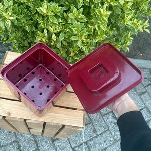 May include: A burgundy square plant pot with a matching lid. The pot has drainage holes and sits on a wooden pallet. Green and yellow foliage is in the background.