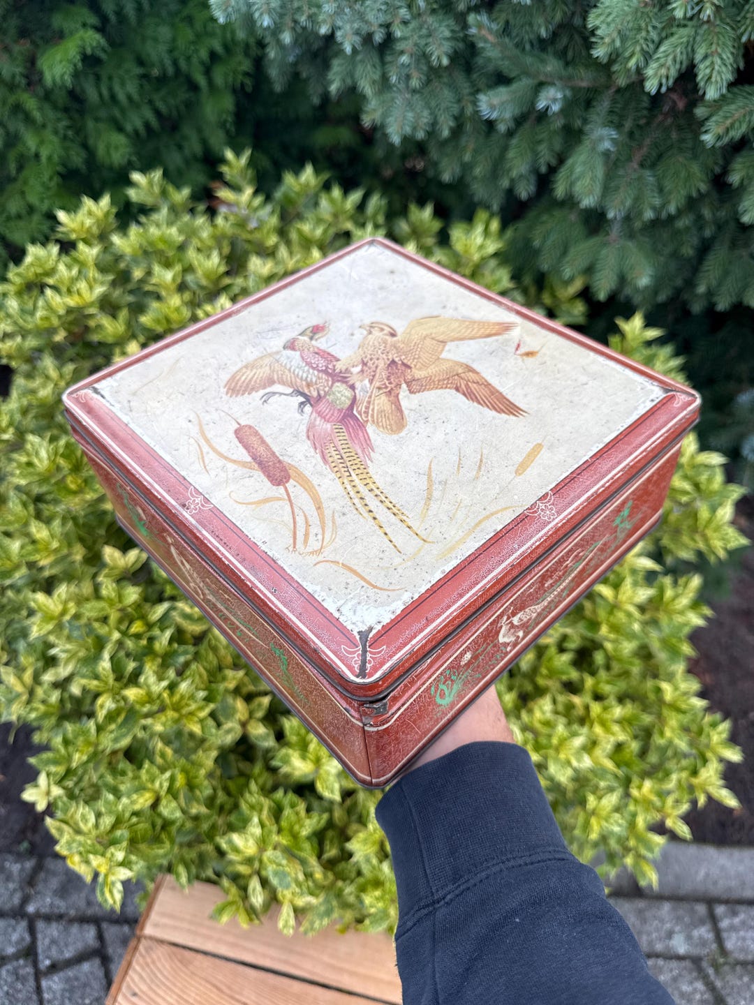 Vintage Van Melle Storage Tin, Pheasant Hunting Design Box, Dutch Candy ...