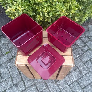 May include: Three burgundy-colored square planters and a matching square saucer. The planters are empty and sit on a wooden crate, with a backdrop of green and yellow foliage. The planters are made of a durable plastic material.