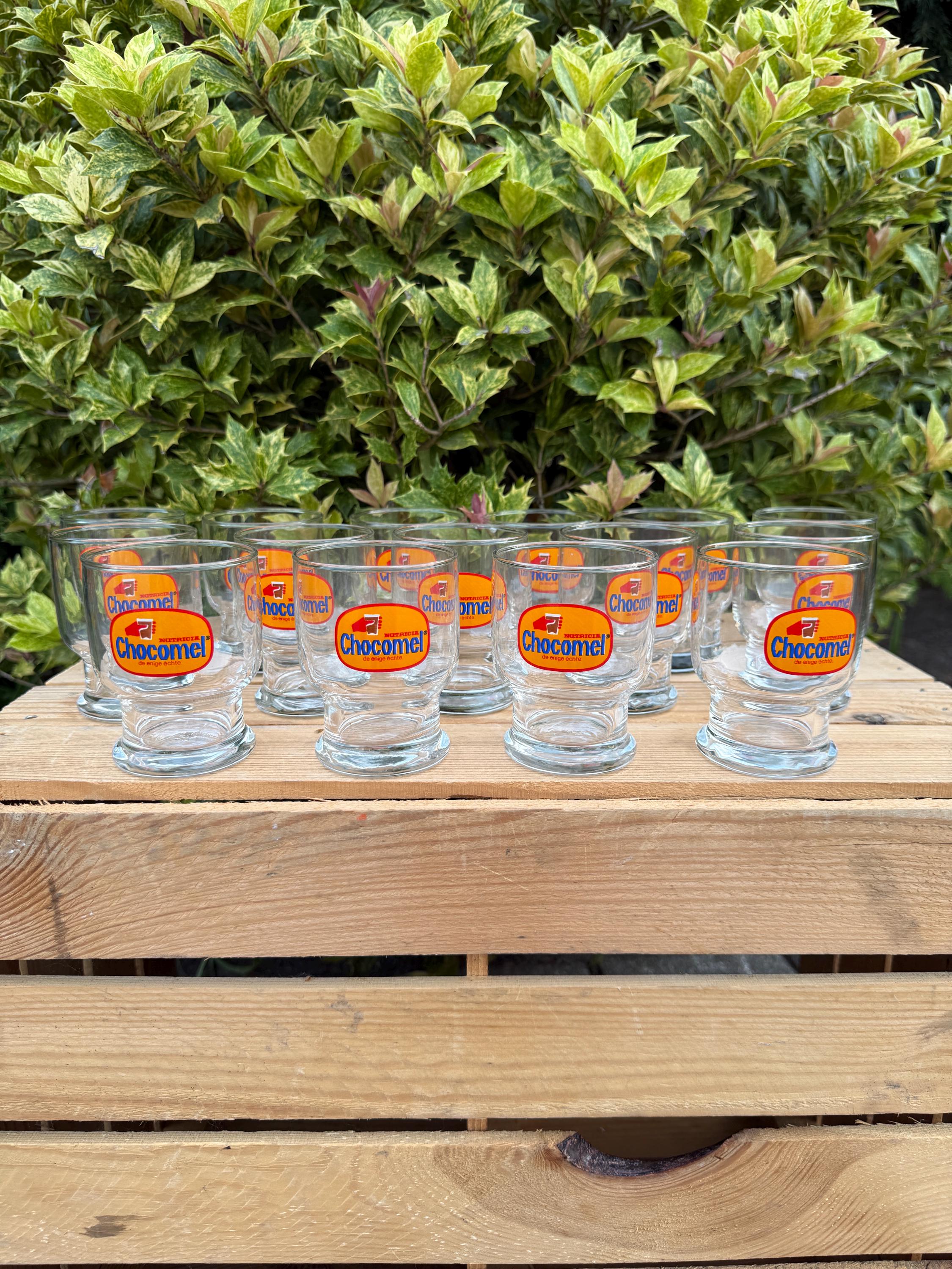 desert terrarium plants “Dessert Oasis” Terrarium main image 0