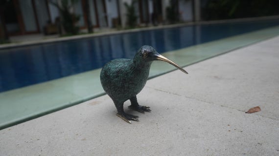 Brass Kiwi Bird Figurine, Gold Bronze Statue, Home Decor (5