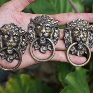 May include: Three antique brass lion head door knockers with ring handles. The lion heads are detailed with manes and facial features. The knockers are held in a hand against a background of green foliage.