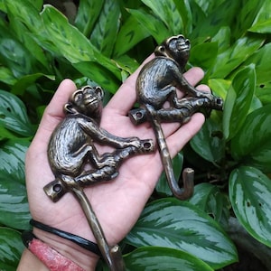 May include: Two brass monkey hooks, each featuring a monkey figurine sitting on a branch. The hooks are in a hand, with green foliage in the background.