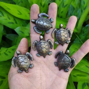 5 antike Messing Schildkröten Knäufe