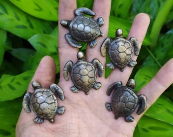 5 antike Messing Schildkröten Knäufe