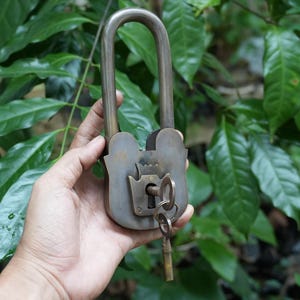May include: An antique brass padlock with a key inserted. The lock has a U-shaped shackle and a decorative design on the front. The background features lush green leaves.