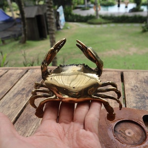 May include: A gold-colored metal crab figurine with detailed claws and a smooth, shiny finish.