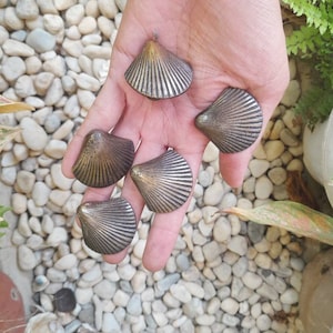 Op de afbeelding: Vijf kleine, zilverkleurige decoratieve voorwerpen in de vorm van een schelp in een hand. De schelpen hebben een geribbelde textuur en een licht iriserende afwerking.