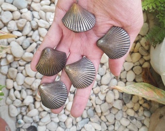 5 Small Brass Shell Drawer Pulls – Vintage Cabinet Knobs (4.5cm)