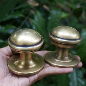 May include: Two antique brass door knobs with a rounded top and a circular base. The knobs have a warm, golden hue and a dark accent line near the top. The background is a blurred view of green leaves.