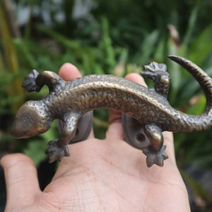 May include: A brass door handle shaped like a lizard. The lizard is curled up with its tail wrapped around its body. The handle is a dark brass color and has a textured surface.
