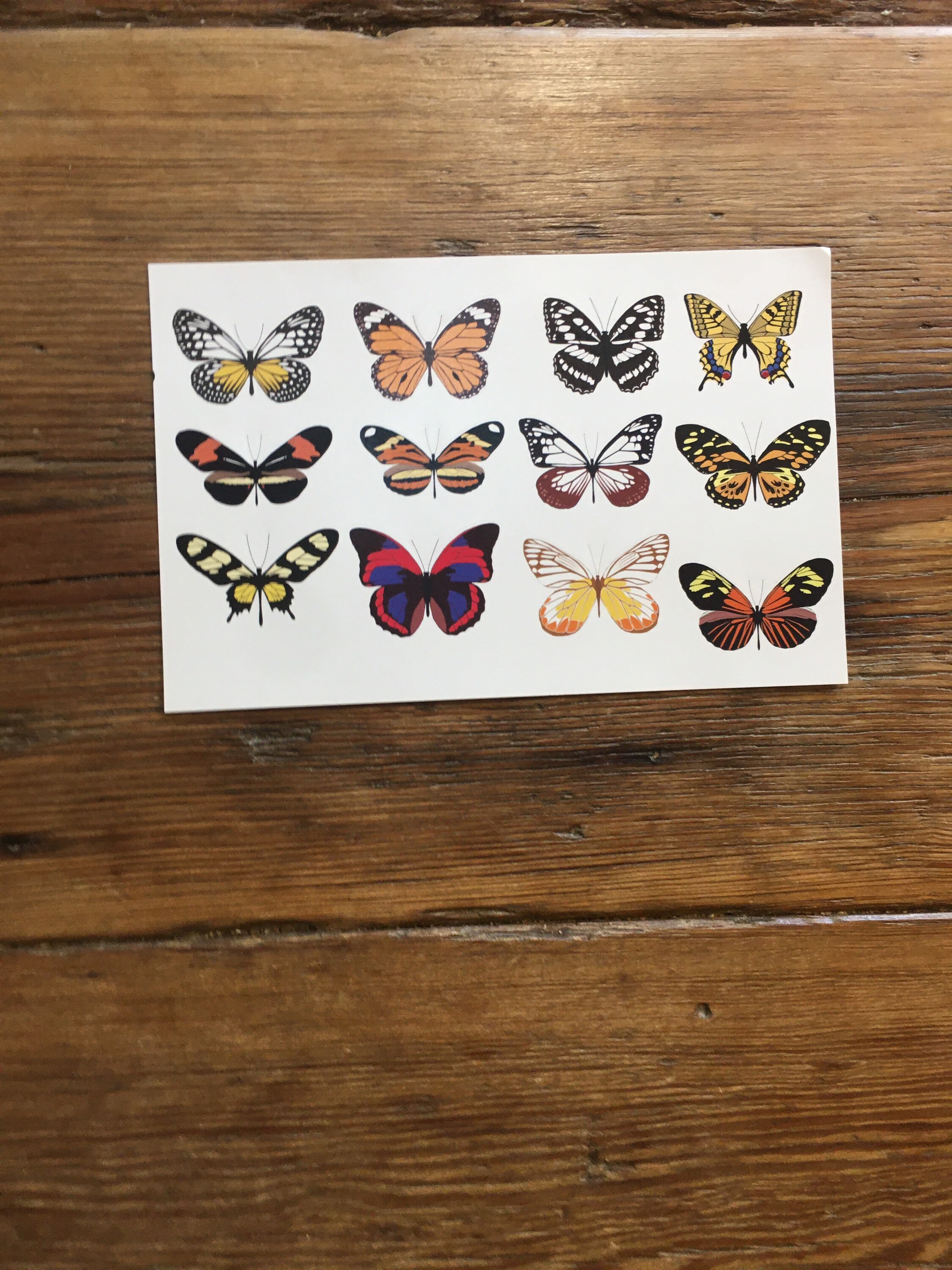 Butterfly Sticker Set - Etsy