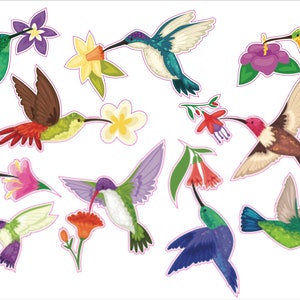 Hummingbirds and Flowers Window Cling