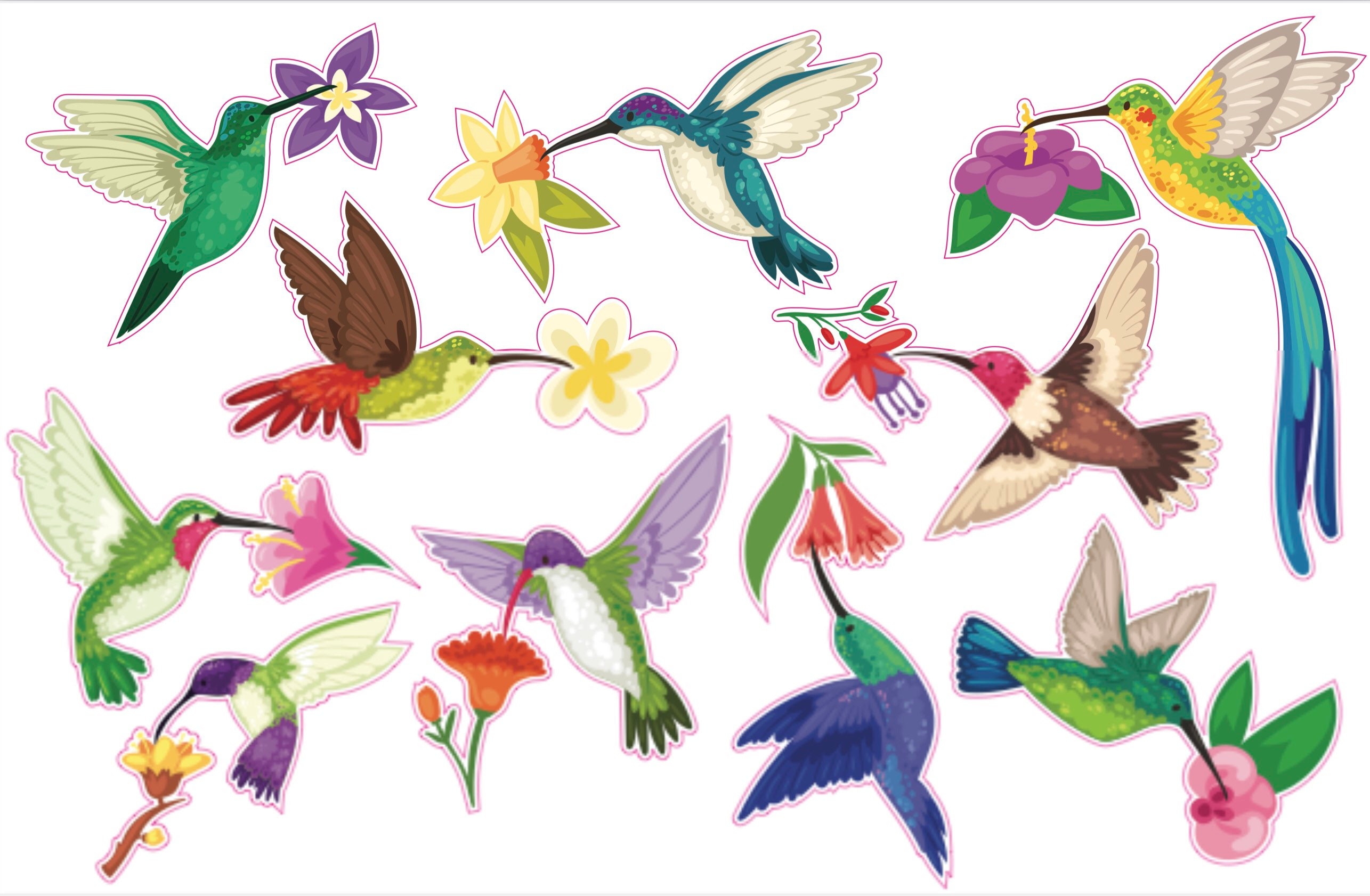 Hummingbirds and Flowers Window Cling