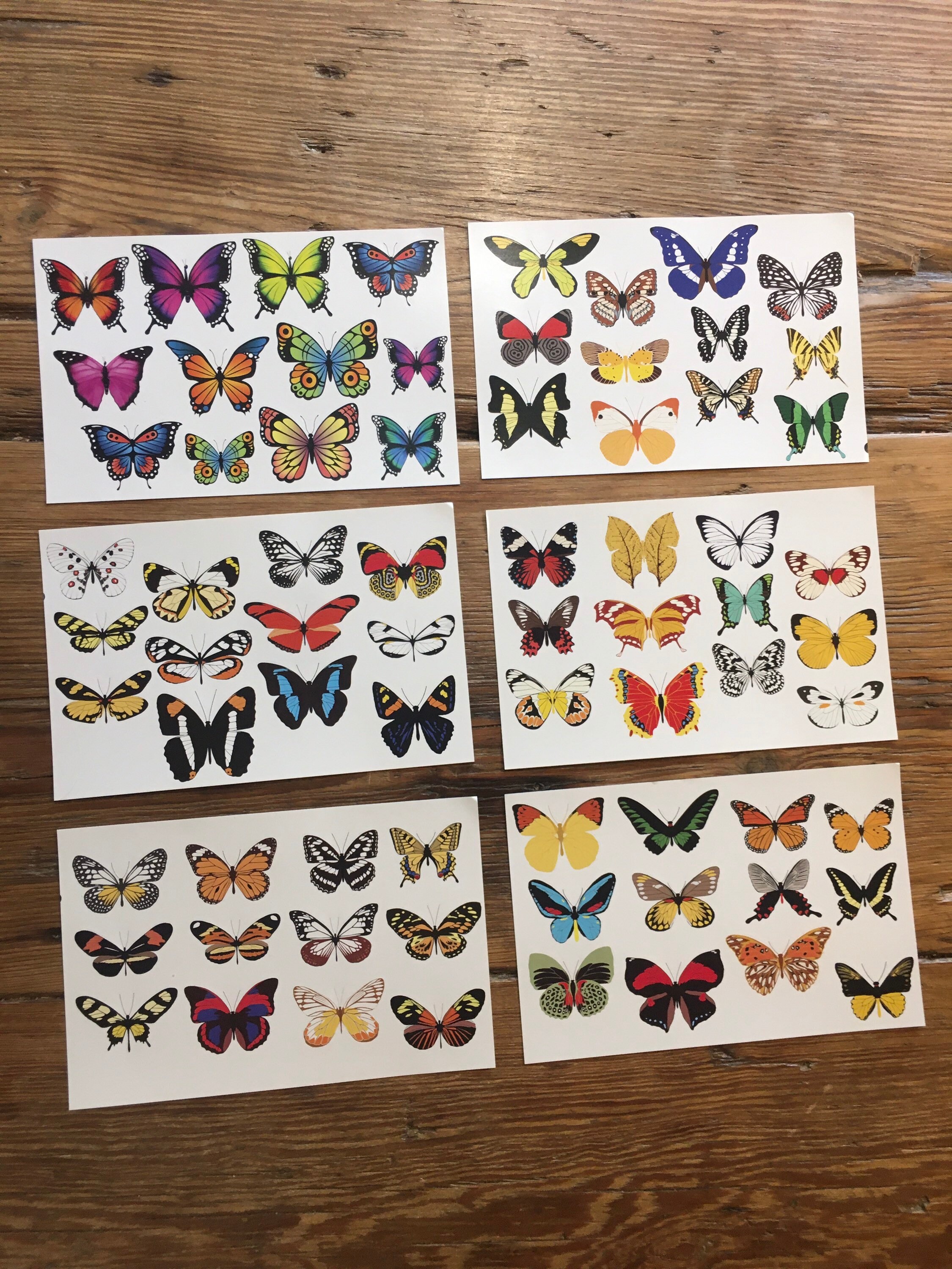 Butterfly Sticker Set - Etsy