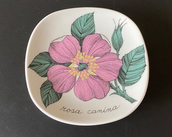 Esteri Tomula Botanica wall plate  "Rosa canina/ Koiranruusu"