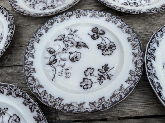 * antique plate ୨୧* フラワーレリーフ アンティークプレート Antique Plate Set of 6 VINE BORDER J and M P B and Co by Bell