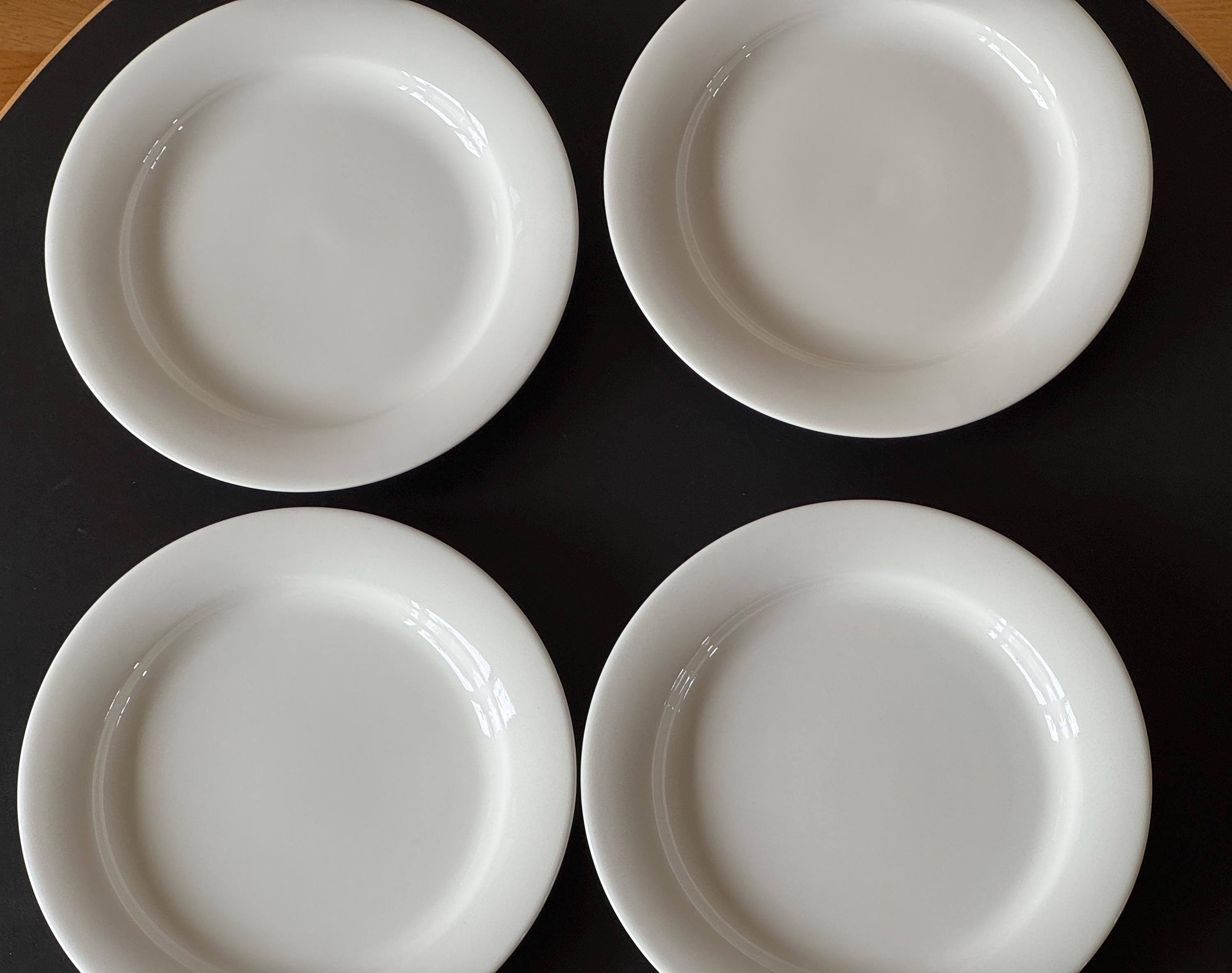 ARABIA Arctica 皿 4枚セット Set of 4 Arabia Arctica Plates by Inkeri Leivo - Etsy UK