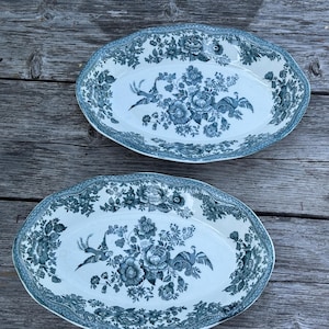 Set of 2 Enoch Wedgwood &quot; Asiatic Pheasants&quot; serving bowls