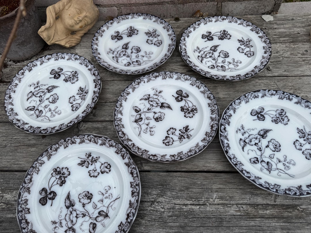 ◎ イタリア製アンティーク陶器 アンティーク プレート 6 枚セット VINE BORDER J and M P B and Co