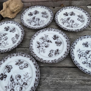 May include: A collection of white ceramic plates with a black floral pattern. The plates have a scalloped edge and are arranged on a weathered wooden surface. The floral design includes clover and other botanical elements.