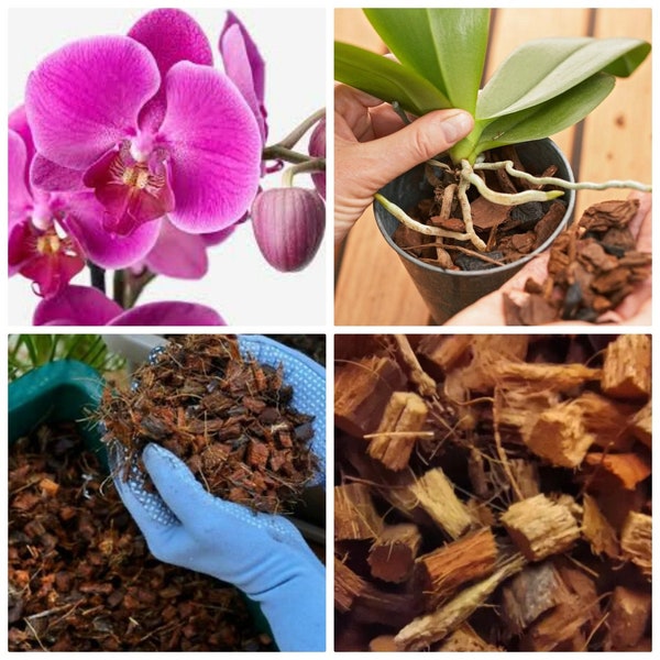 Chips di buccia di cocco per orchidea, anthurium e altre piante 100% BIOLOGICO
