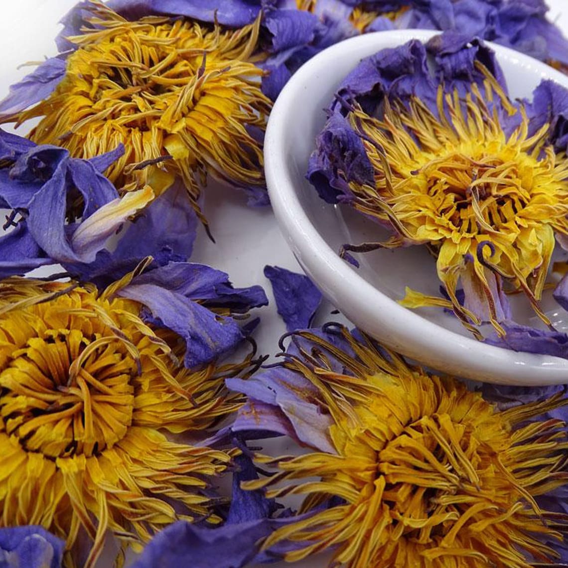 Organic Blue Lotus Flowers Dried / Nymphaea Caerulea Herbal Etsy