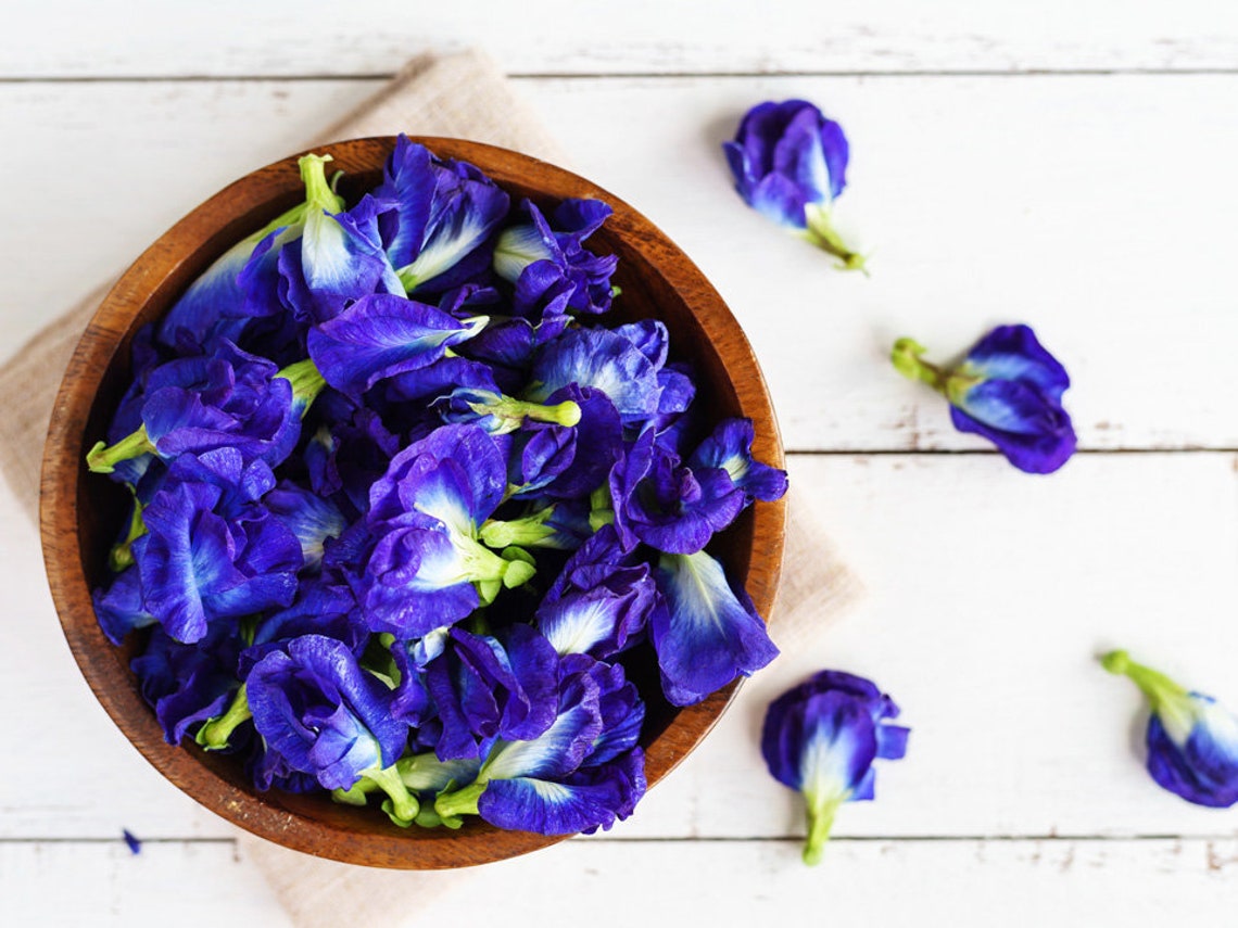 100 Dried Butterfly Pea Flowers Blue Herbal Tea butterfly Etsy