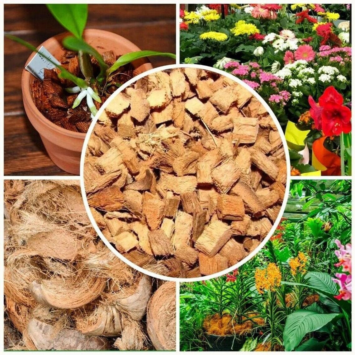 Coconut Husk Chips for Orchid Anthurium & Other Plants 100 Etsy