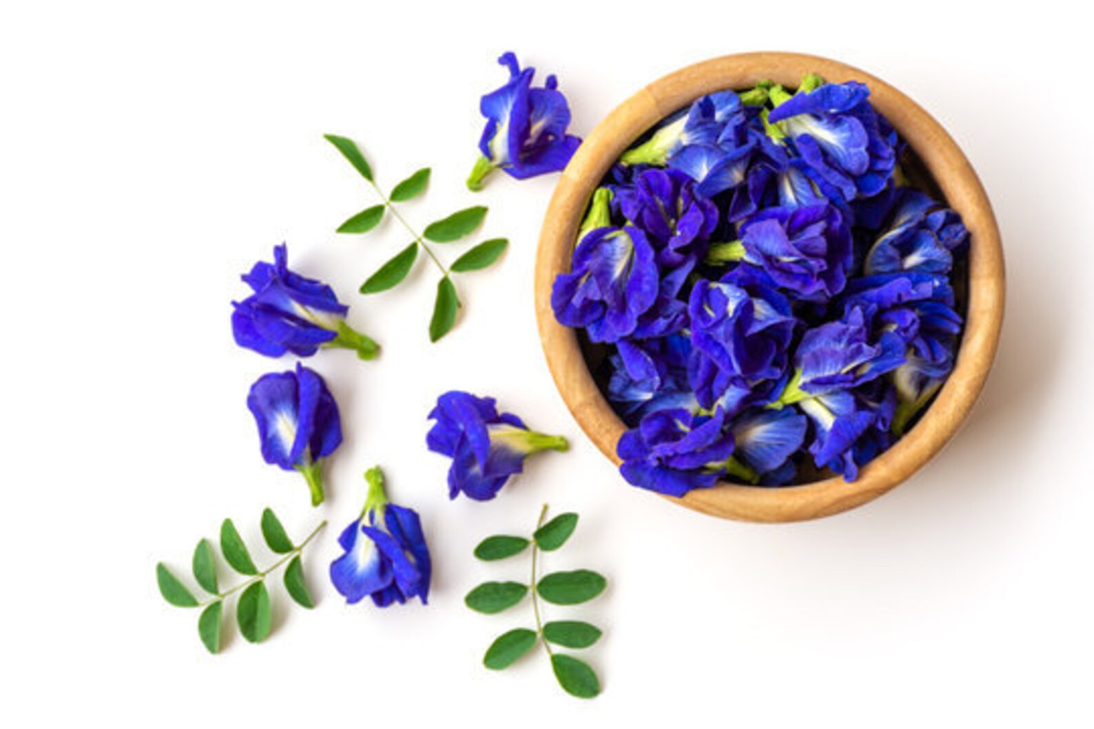 100 Dried Butterfly Pea Flowers Blue Herbal Tea butterfly Etsy