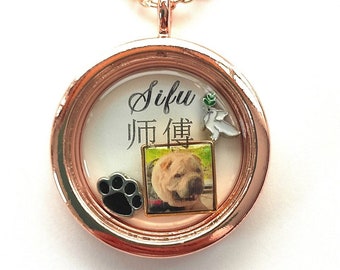 DIY PERSONALISIERBAR, Glasmedaillon, Mit Schraube, Edelstahl Mit VORNAME, Ihr Foto, 2 Charms, Rose Gold Halskette 60 cm, 23.6&quot;, Geschenk
