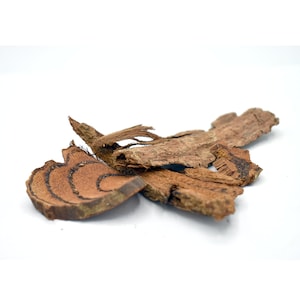 ji-xue-teng-鸡血藤-spatholobus-Wurzel-und-Rebe- FUHENG福恒 - Seit 1905