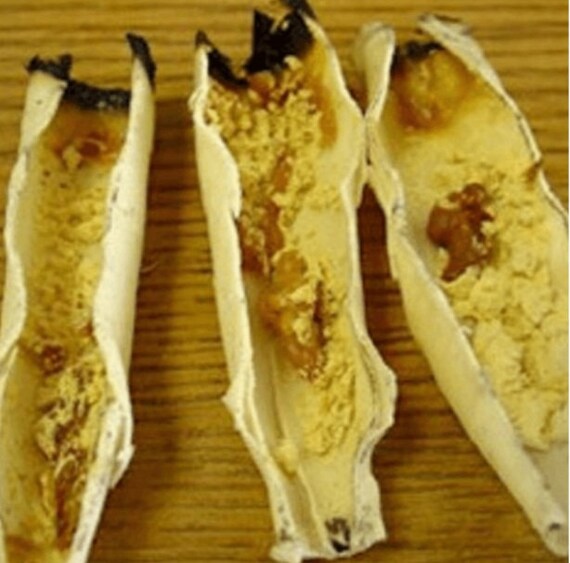 6 X Hopi Ear Candle Ear Wax Remover Candles Natural Earwax Etsy UK