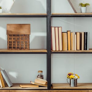 Cozy Shelves Zoom/Videoconferencing/Streaming Background