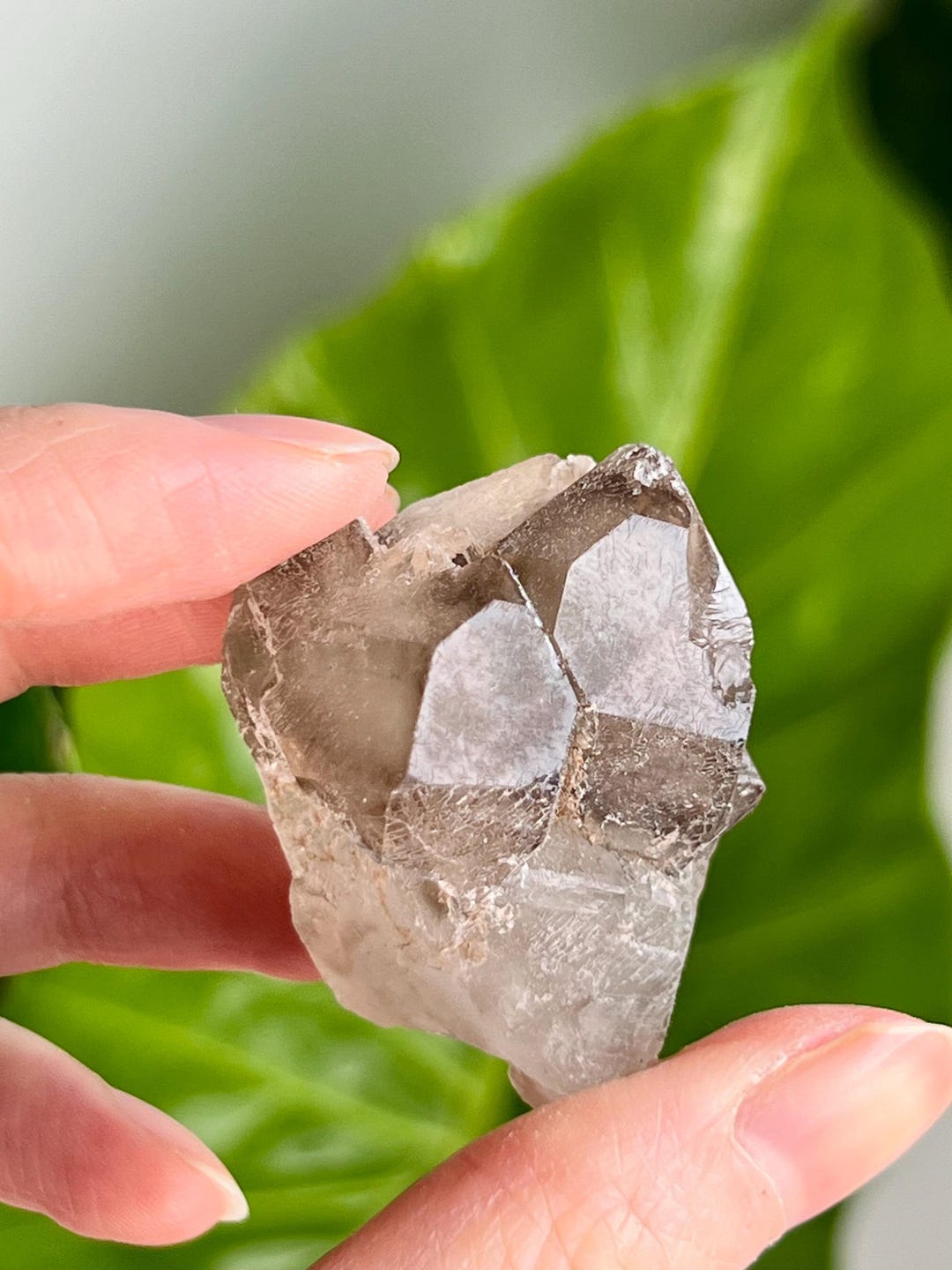 Grade A 100% Natural Smoky Elestial Quartz - A Portal to Mystical