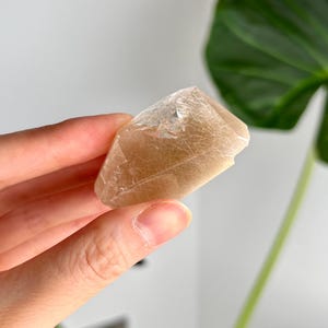 Grade AAA Natural Rutile Golden Amphibole Quartz, Angel Phantom Quartz - from Taquaraçu de Minas, Brazil AFC27, 38g