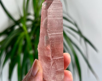 Ponta de quartzo rosa Lemuriano 100% natural grau AAA – Amor ativador do coração, sabedoria e conexão divina, de Diamantina - PL09, 85g