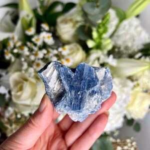 May include: A blue kyanite crystal with a rough, natural texture. The crystal is a light blue colour with some silver-coloured streaks. It is held in a hand against a background of white flowers.